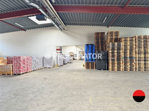 RAMPENLAGER INKL. MEISTERBÜRO IN HH-BILLBROOK!, 22113 Hamburg, Halle