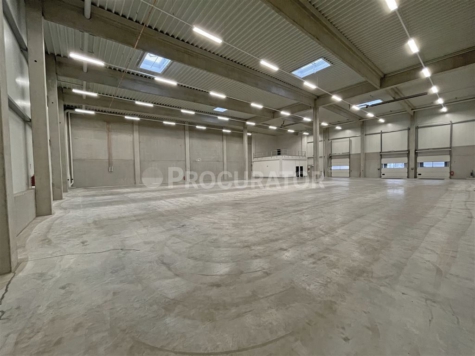 HALLENNEUBAU: LAGER-/ PRODUKTIONSHALLE MIT BÜRO!, 21509 Glinde , Kr Stormarn, Halle