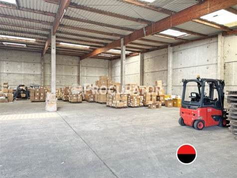 RENOVIERT: Büro-, Hallen- und Freifläche in Billbrook!, 22113 Hamburg, Halle
