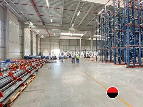 ca. 22.000 m² große, multifunktionale Logistikhalle in Hafenlage!, 21129 Hamburg, Halle