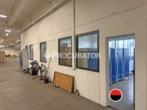 Hallenansicht - Lagerhalle | ca. 4.400 m² | auf Rampe