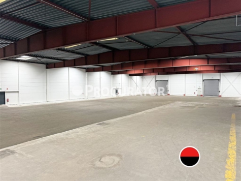 Lagerhalle ca. 2.020 m² | mit Freifläche ca. 561 m² | Rampen- sowie ebenerdige Andienung, 22113 Hamburg, Halle
