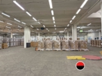 Hallenansicht - Lagerhalle | ca. 4.400 m² | auf Rampe