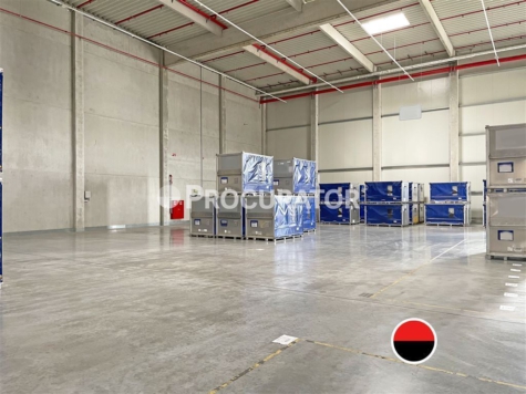 Provisionsfrei: Logistikneubau unweit der A1!, 22113 Hamburg, Halle