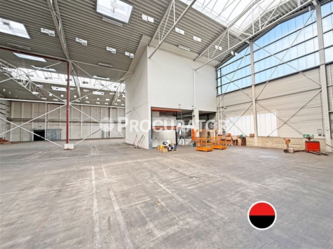 Hamburg-Billbrook: ca. 17.400 m² Hallenfläche ab sofort verfügbar!, 22113 Hamburg, Halle