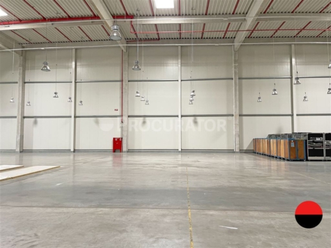 PROVISIONSFREI: LOGISTIKNEUBAU UNWEIT DER A1!, 22113 Hamburg, Halle