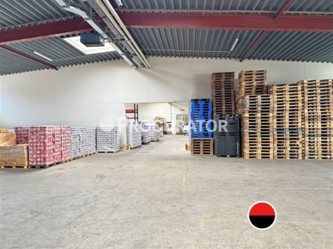 Lager- und Produktionshallen | ca. 1.200 m² | Rampenandienung, 22113 Hamburg, Halle