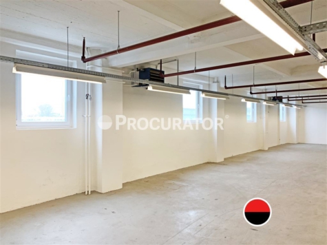 Zentrumsnahe Lagerflächen ca. 630 m²!, 20537 Hamburg, Halle