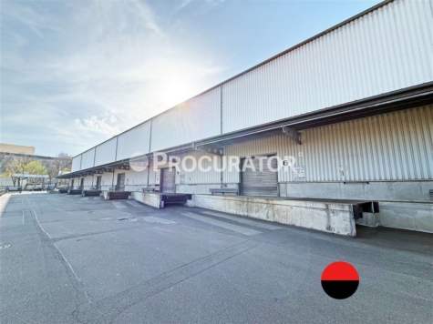 Plug and Play: 17.400 m² Hallenfläche ab sofort in HH-Billbrook!, 22113 Hamburg, Halle