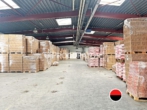 Musterhalle - LAGER AUF RAMPE MIT MEISTERBÜRO!