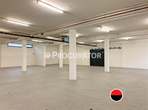 Lagerhallen ebenerdig ab ca. 570 m² mit Meisterbüro!, 22113 Hamburg, Halle