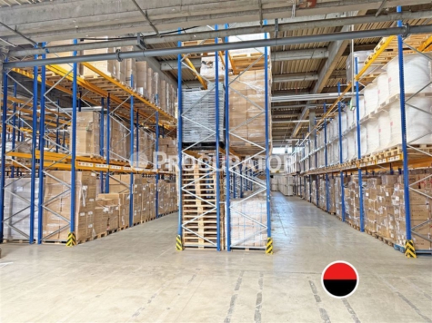 Umschlagslager, ca. 9.800 m² auf Rampe!, 22113 Hamburg, Halle