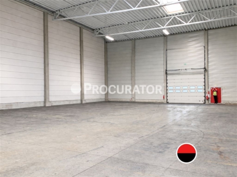 Rampenlager ca. 8.000 m² im Hamburger-Hafen!, 21107 Hamburg, Halle