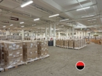 Hallenansicht - Lagerfläche, ca. 4.400 m² auf Rampe!