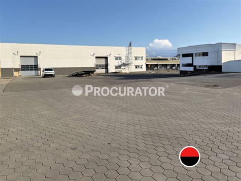 Im Alleinauftrag, ca. 2.500 m² Lagerfläche mit ca. 4.040 m² Freifläche – teilbar!, 22113 Hamburg, Halle