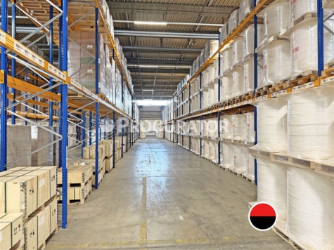 Hallenfläche, ca. 9.800 m² in HH-Billbrook!, 22113 Hamburg, Halle