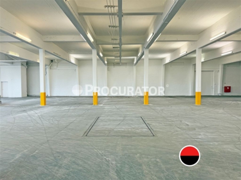 Renoviertes Rampenlager | ca. 3.000 m² | inkl. Meisterbüro, 20539 Hamburg, Halle