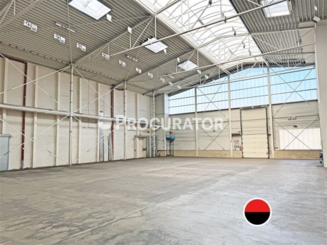 Solitärobjekt | ca. 17.400 m² Hallenfläche | ab sofort verfügbar!, 22113 Hamburg, Halle